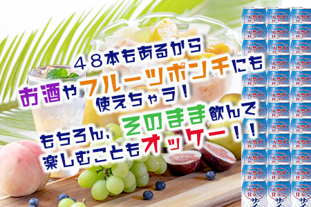 天然水仕立てサイダー 【350ml缶×24本入】×2ケース【飲み切りサイズ】サイダー 箱買い B-660 炭酸飲料 飲み切りサイズのサイダー 箱買いサイダー サイダー割りにも お裾分けサイダー ギフト 贈り物 旬ギフト