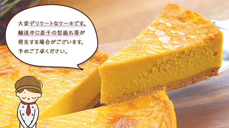 パンプキン チーズケーキ 6号 × 1個