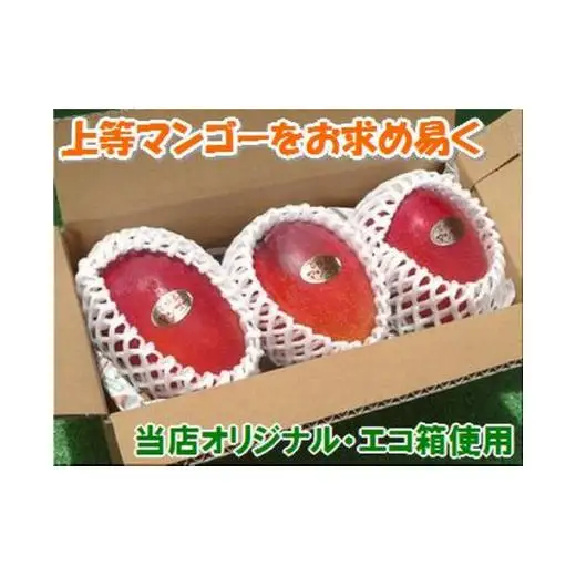 ＜予約受付＞完熟アップルマンゴー 2~3個 約1kg 