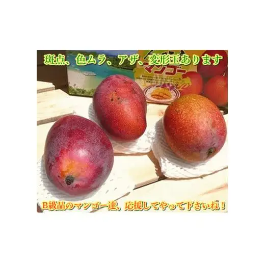 ＜予約受付＞完熟アップルマンゴー 3~6個 約2kg 