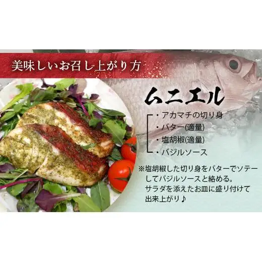 【予約受付】高級ブランド魚 尖閣赤マチ 2～3尾 合計約5kg  GK-1