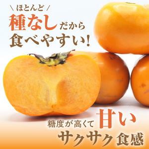 【2026年収穫分 先行予約!】福岡県ブランド　高級柿【秋王】3.5kg【JAほたるの里】_HA1352 | 柿 種なし