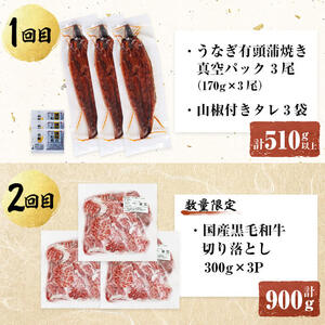 【定期便全6回】鰻と肉の贅沢定期便！鰻とお肉が交互に届くお楽しみ便 定期便 牛肉 ステーキ 鰻 豚肉 t0100-029