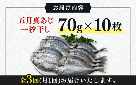 【全3回定期便】対馬 五月 真あじ 一汐干し 10枚 新鮮 アジ 干物 [WAI042]