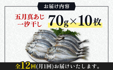 【全12回定期便】対馬 五月 真あじ 一汐干し 10枚 新鮮 アジ 干物 [WAI044]