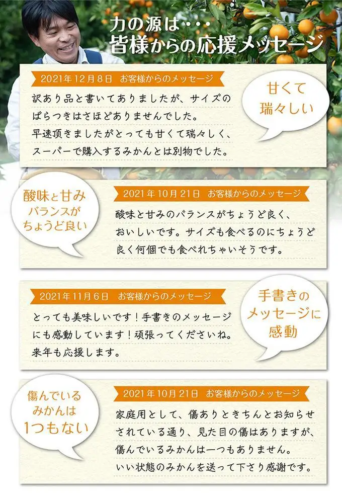 みかん 3キロ SMLサイズ 和歌山県海南市鈴木農園から酸味もおいしい みかん をお届け プチ 贈答 食べきり 少量 厳選 プレミアム お試し