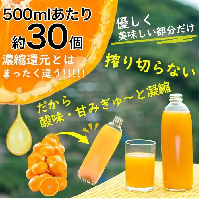 みかんジュース 濃厚 みかんジュース  500ml×３本