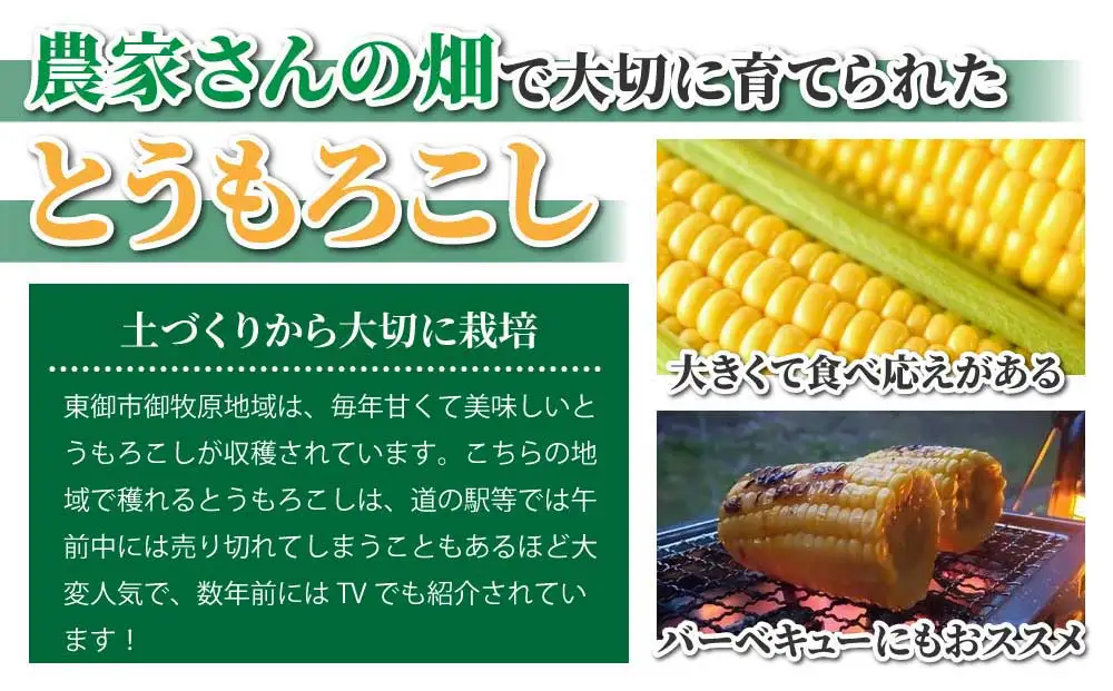 生とうもろこし 2Lサイズ 6本 有機肥料使用のスイートコーン！ 長野県東御市産 ※7月上旬から順次発送予定※発送日指定不可