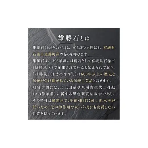 【雄勝石】石皿270×120　２枚組  雄勝石 玄昌石 食器 石皿 270×120×6mm シリコン脚付き お皿 天然石 プレート 黒 雄勝硯生産販売協同組合