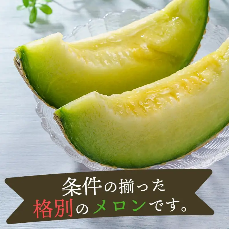 【令和8年産先行予約】アンデスメロン【青肉】 5kg　（3～5玉）　山形県鶴岡市　鶴岡中央青果　| メロン めろん 青肉メロン 5キロ 山形 鶴岡 庄内 庄内産 東北 フルーツ 果物 くだもの 夏 旬  人気 おすすめ 美味しい お取り寄せ 返礼品
