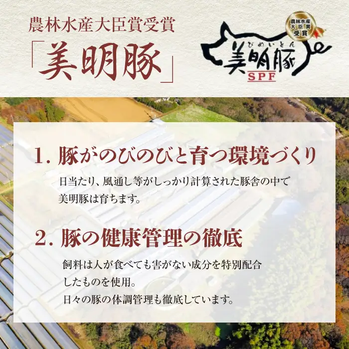 美明豚 こま切れ 約2.2kg 【茨城県共通返礼品/行方市】 ブランド豚 しゃぶしゃぶ SPF 豚肉  [DS012sa]