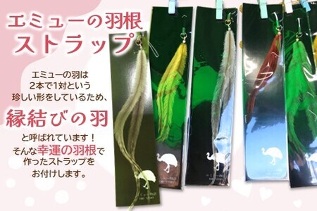 エミューキーマカレー(中辛)・エミューの羽根ストラップ K006029