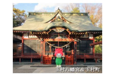 張り子の招き猫「我がニャンデラックス」（木箱付き）