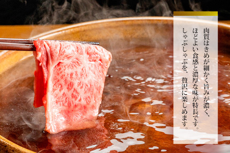 佐賀牛肩ロースしゃぶしゃぶ用 500g K062019