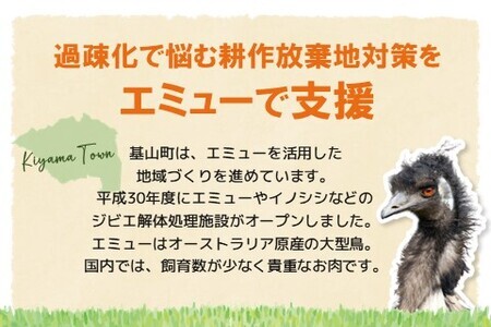 エミュー手作りフランク・基山のお茶入りフランク 8本セット K006032
