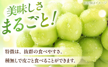 【先行予約】シャインマスカット 350g×2パック パック詰め BKAY006