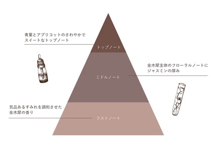 【Sophie&Mira】メアコ ルームディフューザー ※着日指定不可