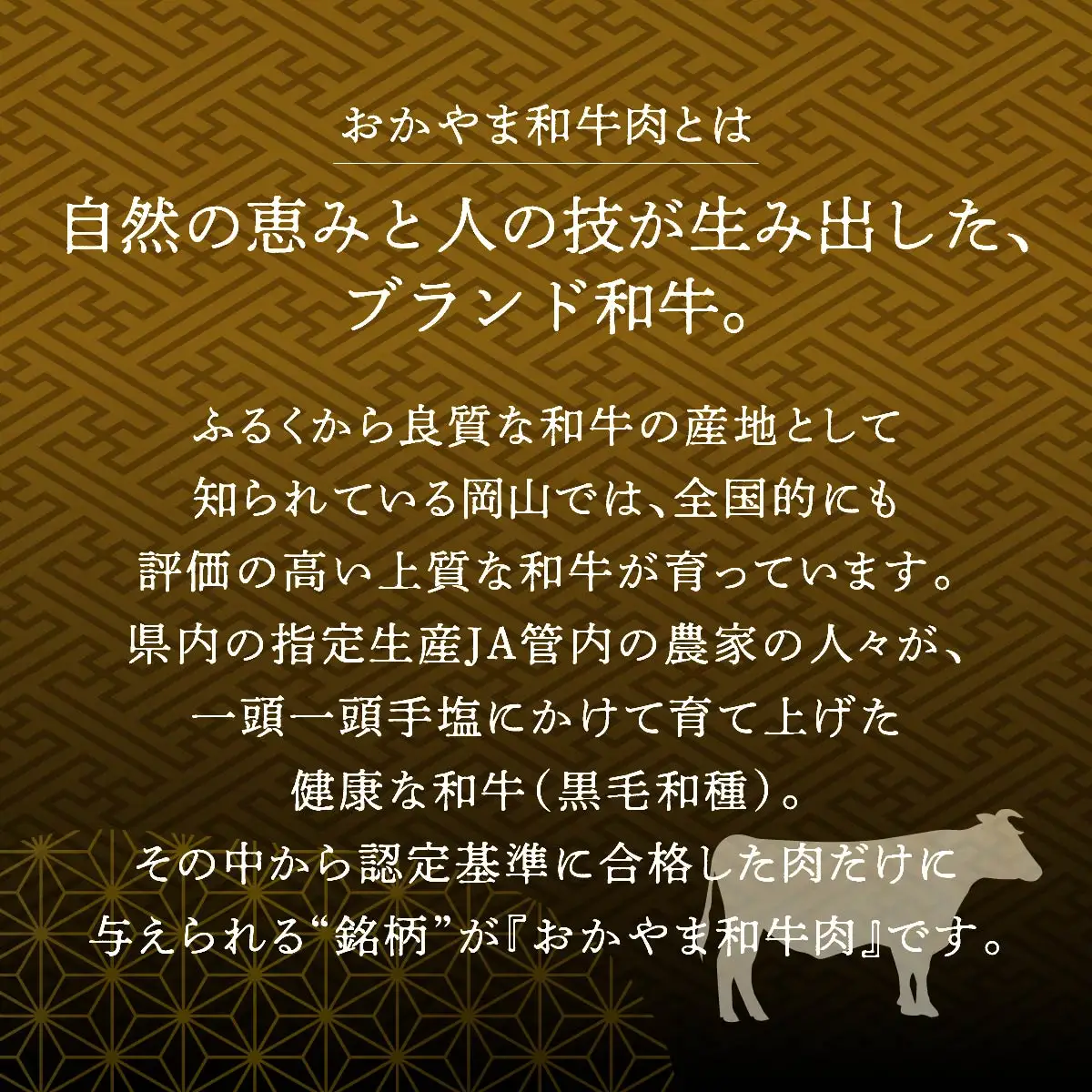和牛 おかやま 和牛肉 ステーキ セット 合計 約300g（サーロイン 約150g＆リブロース 約150g）