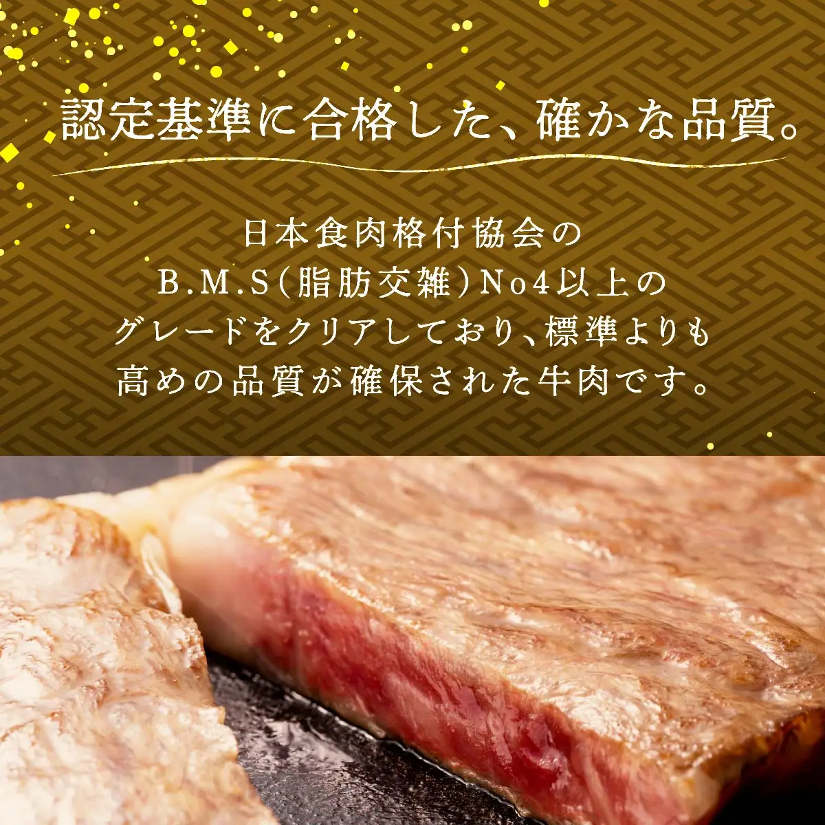 和牛 おかやま 和牛肉 満喫セット 合計約800g（サーロインステーキ 約450g＆すき焼・しゃぶしゃぶ用 ローススライス 約350g）