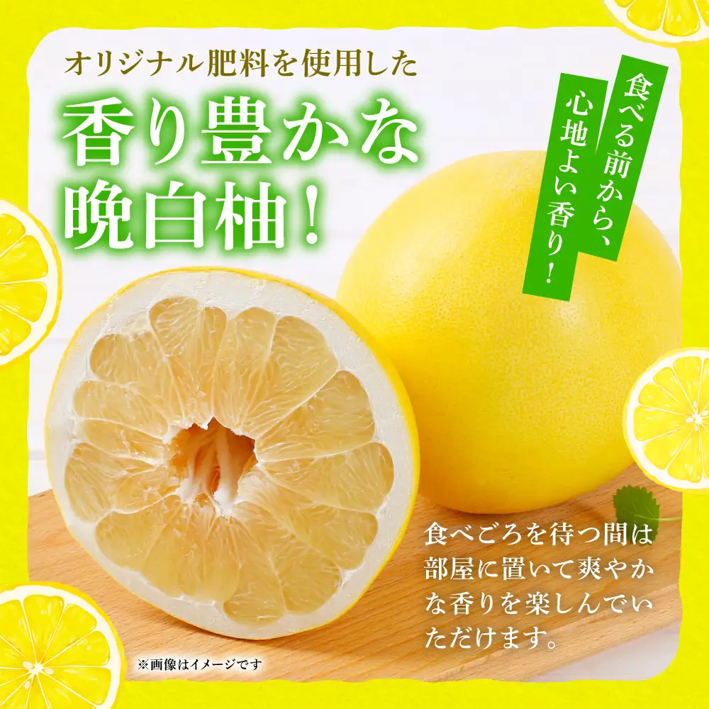 【先行予約】 晩白柚 Lサイズ 2玉 ばんぺいゆ 柑橘 【2026年12月中旬より順次発送】