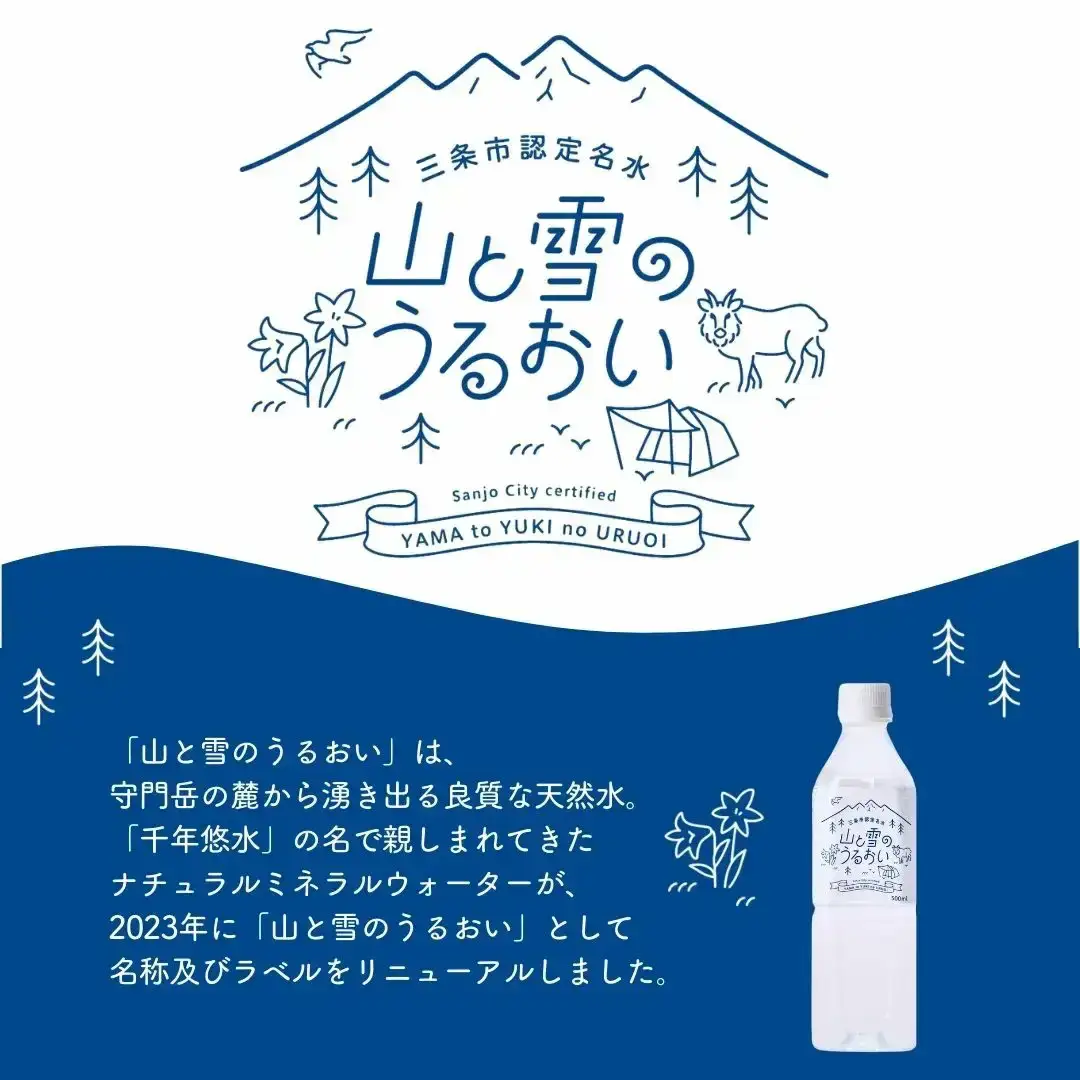 定期便 ミネラルウォーター 500ml×24本 3か月 ナチュラルミネラルウォーター 山と雪のうるおい 軟水 防災 新潟県三条市