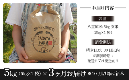 【寄附額改訂↓】令和８年新米予約【3回定期便】八重原米5kg（5kg×1袋）合計15kg 玄米　※2026年10月以降順次発送｜笹屋農園「農薬削減長野県認証取得」先行予約 お米