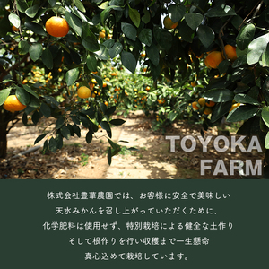 【 贈答用 】 温室みかん 『 豊華の夢ロード』 約 2.5kg 化粧箱入り