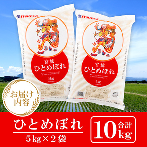 【令和7年産】宮城県産 ひとめぼれ 合計10kg (5kg×2袋) お米 おこめ 米 コメ 白米 ご飯 ごはん おにぎり お弁当【株式会社パールライス宮城】ta203