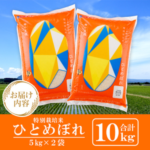 【令和7年産】宮城県産 郷の有機 ひとめぼれ 合計10kg (5kg×2袋) お米 おこめ 米 コメ 白米 ご飯 ごはん おにぎり お弁当 有機質肥料【株式会社パールライス宮城】ta205