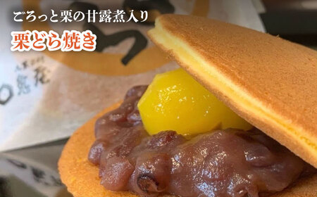 亀屋の 和菓子 彩りセレクション 13個入り 10種 【亀屋製菓舗】 どら焼き 羊羹 名物[TDX003]
