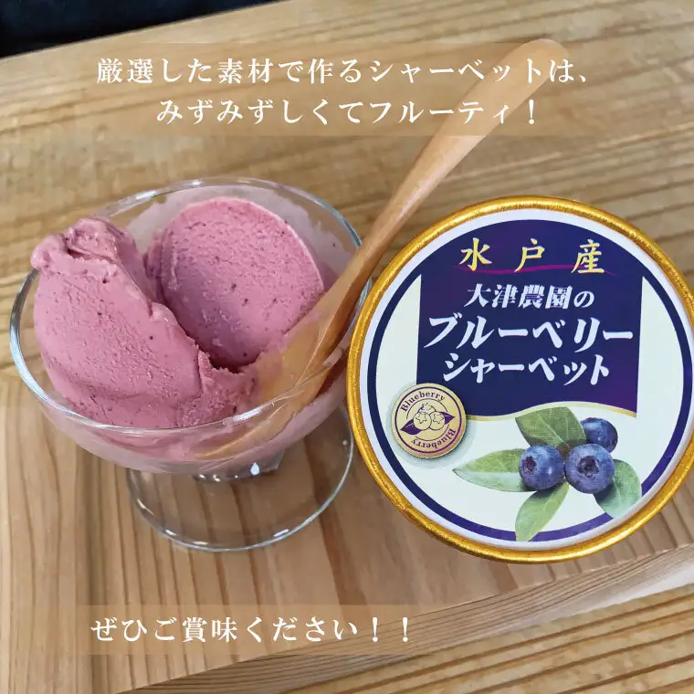 ブルーベリーシャーベット　１２個（FQ-1）