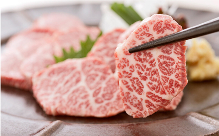 プレミアム三角バラ馬刺し約100g  国産大トロ馬刺しZBK002