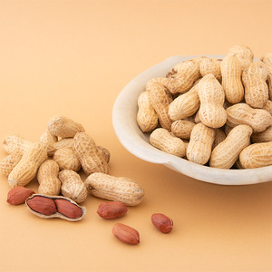 落花生 豆 落花生お試しセット（24835）  009-67