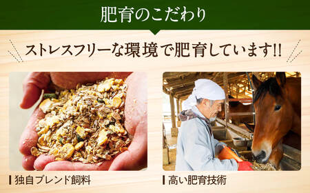 馬刺し 上赤身 中トロ ふたえご ロース たてがみ ユッケ 馬刺し