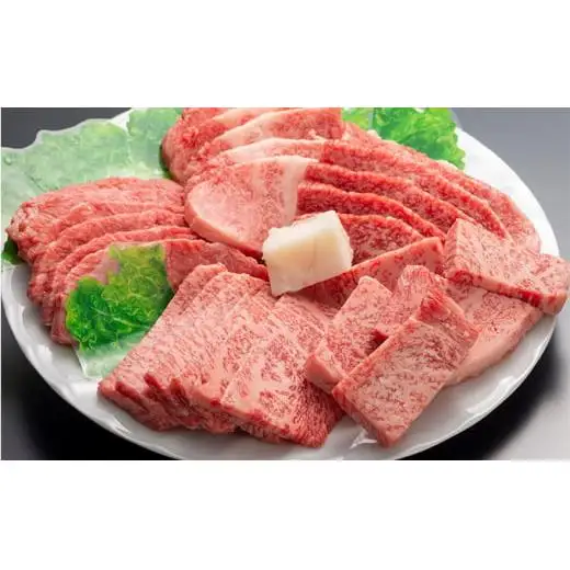 定期便 但馬牛 焼肉 5種 食べ比べ 計500g 6ヶ月連続お届け BBQ バーベキュー アウトドア