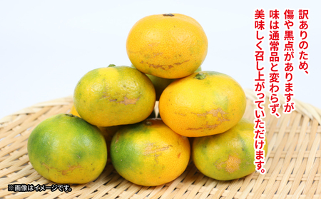 訳あり 極早生 愛媛 みかん 10kg NBU B015-058008