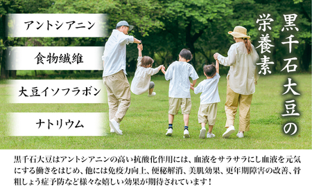 原種黒千石きな粉アイスクリーム 2L 浦幌町 十勝うらほろおかだ農園