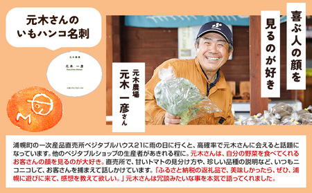 北海道産 とうもろこし おひさまコーン 10本 糖度20度以上 2026年予約