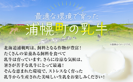 【定期便3回】 森永北海道3.6牛乳 牛乳 大容量 1000ml×12本入り 