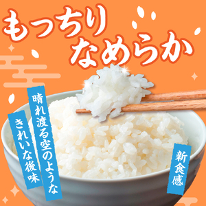 はれわたり 【令和7年産米】10kg特別栽培米 特A取得歴有 五所川原市KonRiceFarmのはれわたり
