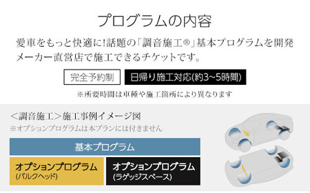 フォーカル プラグ＆プレイ本店　走行音静粛化プログラム「調音施工R」基本＋オプションプログラム1台分