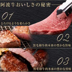 イチ押し 阿波牛 焼肉 約1kg 阿波牛すじ肉 約500g セット