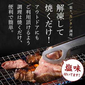 厳選厚切り牛タン BBQセット 塩タン （計約550g） 肉 焼肉 BBQ