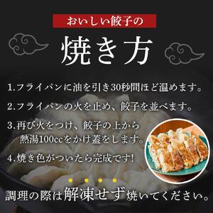 元祖薄皮餃子 冷凍生餃子 生姜（36個) タレ付き 5000円