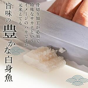 【徳島産「天然鱧」切り身・つくね】冷凍ハモ鍋セット（2～3人前）