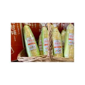 期間限定 先行予約 スイートコーン 朝採れ  (8～11本）【徳甘姫】 とうもろこし