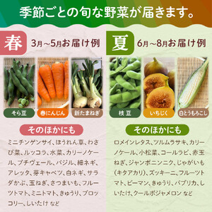 野菜セット 旬の野菜 （9~10種類) やさい 詰合せ 新鮮 季節の野菜