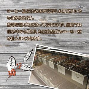 ブラジルコーヒ 人気ブレンド 200g×3種セット（挽き）