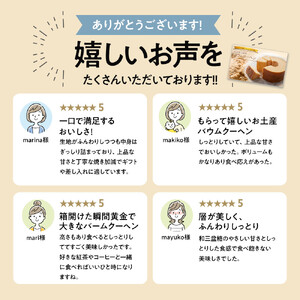 阿波和三盆糖 バウムクーヘン 【とくしま特選ブランド認定商品】 バームクーヘン 焼き菓子 洋菓子 ギフト プレゼント
