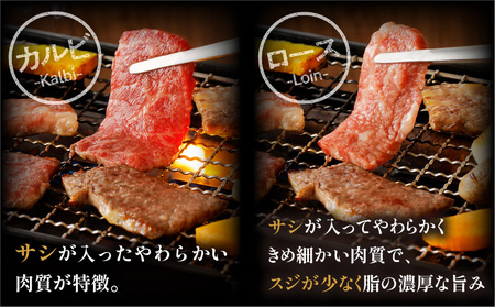 宮崎牛 カルビ・ロース焼肉 合計400g 焼き肉 バーベキュー 霜降り